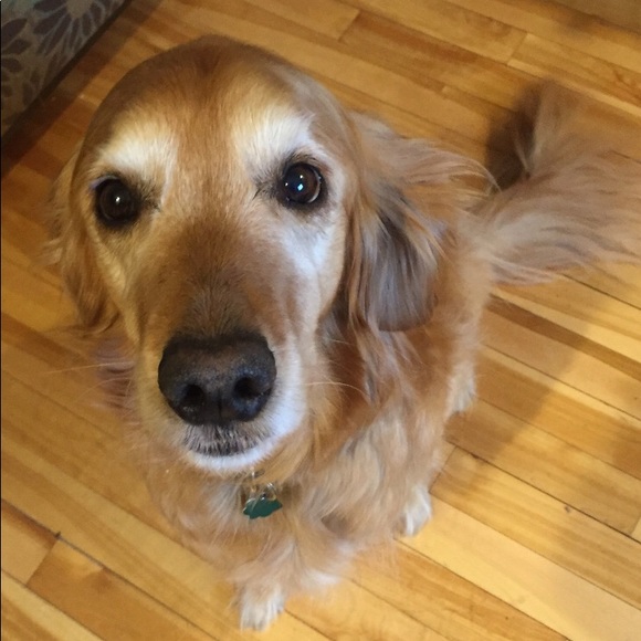 Meet your Posher, Jonna - Picture 1 of 1